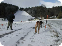 Letzter Gang im Schnee